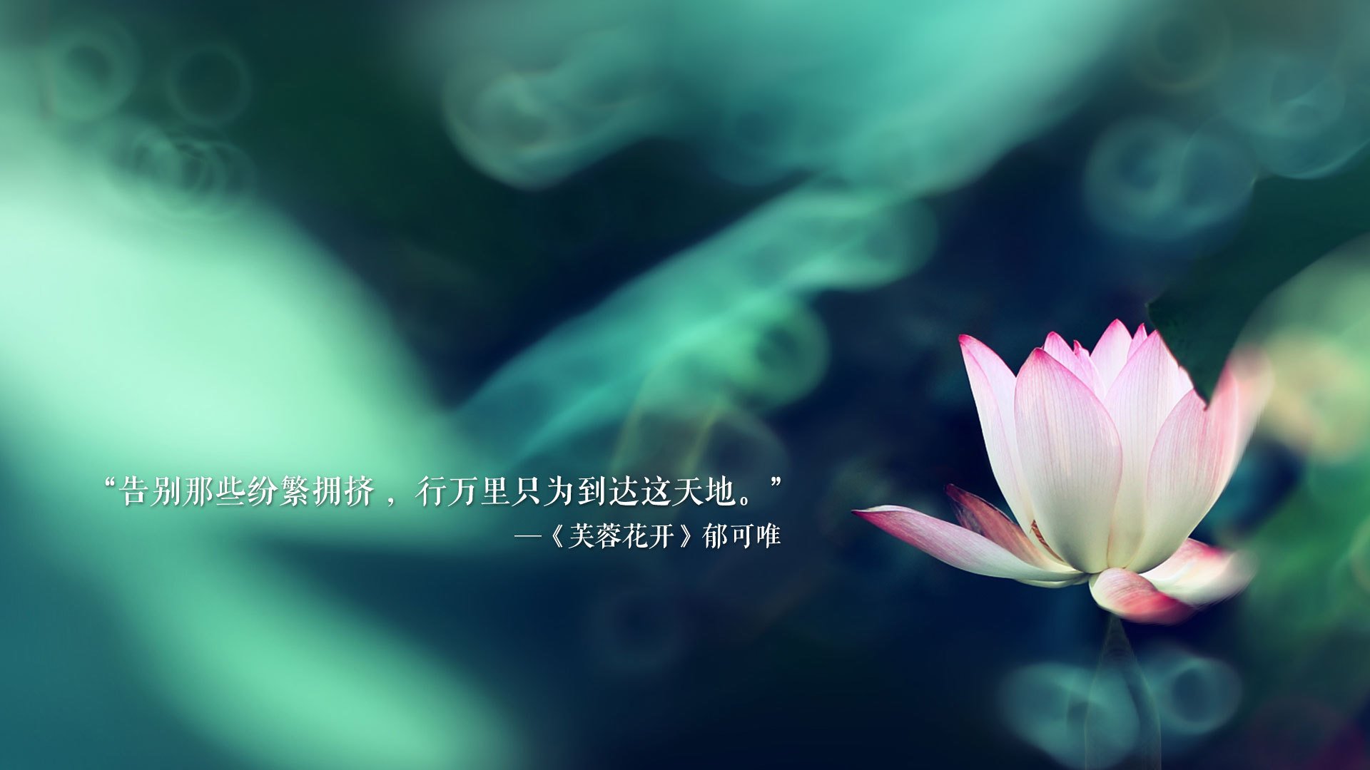 开云体育app下载-“东部新区定向越野赛：一场体能与脑力的双重较量”
