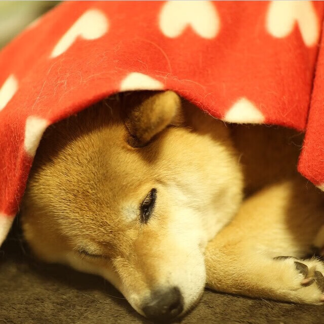 开云体育官网-五大联赛是否通过空间配速数据识别核心跑动位置,五大联赛跑动距离