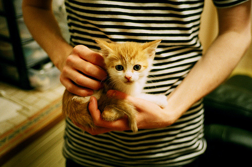 开云体育官网登入-俱乐部管理层稳定性对成绩影响明显，俱乐部型管理风格是什么