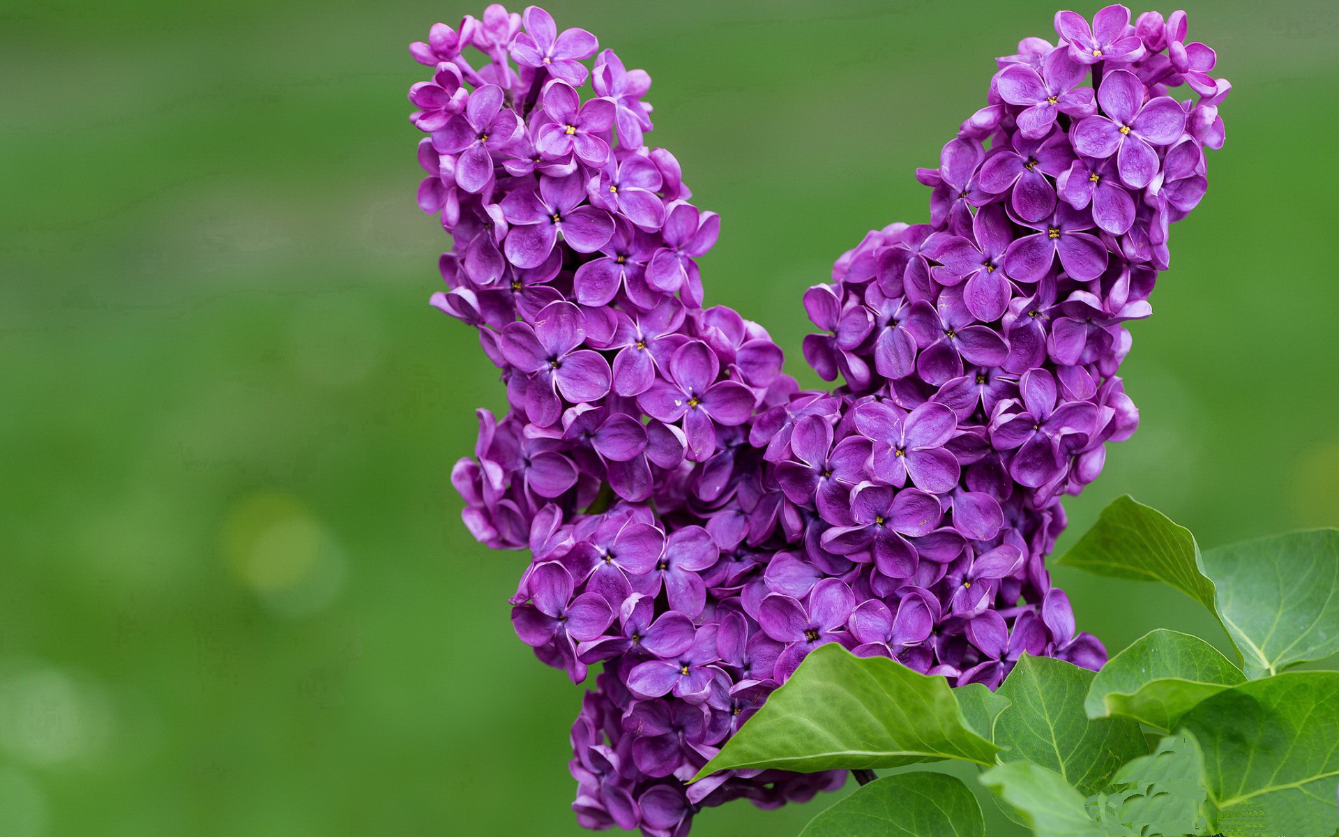 开云体育登录入口-国家队失误容错机制影响球员比赛自信，球队失误是什么意思