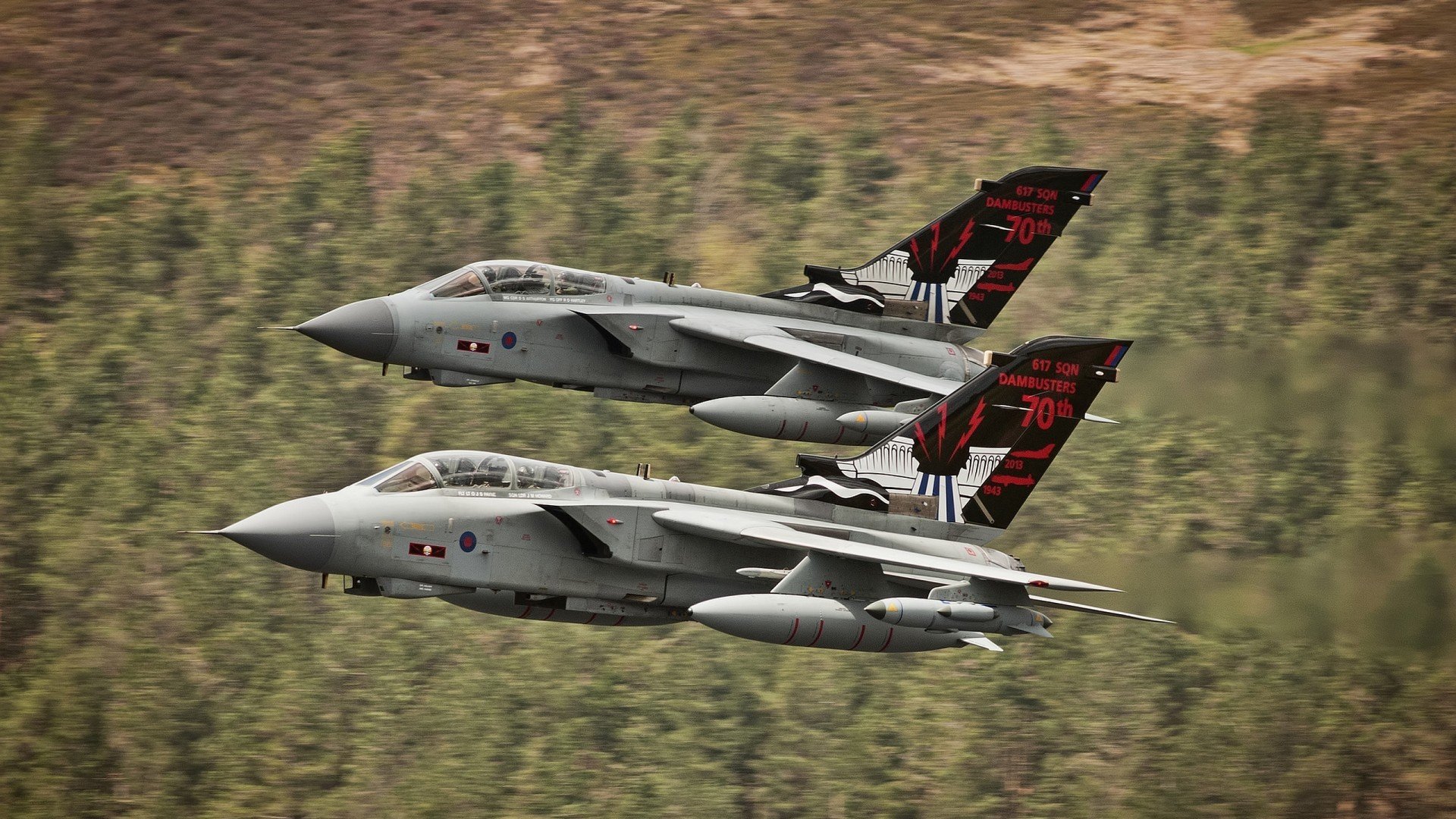 开云体育官网在线-CBA球队文化建设引发球迷共鸣打造城市认同感新标杆,cba球队标识