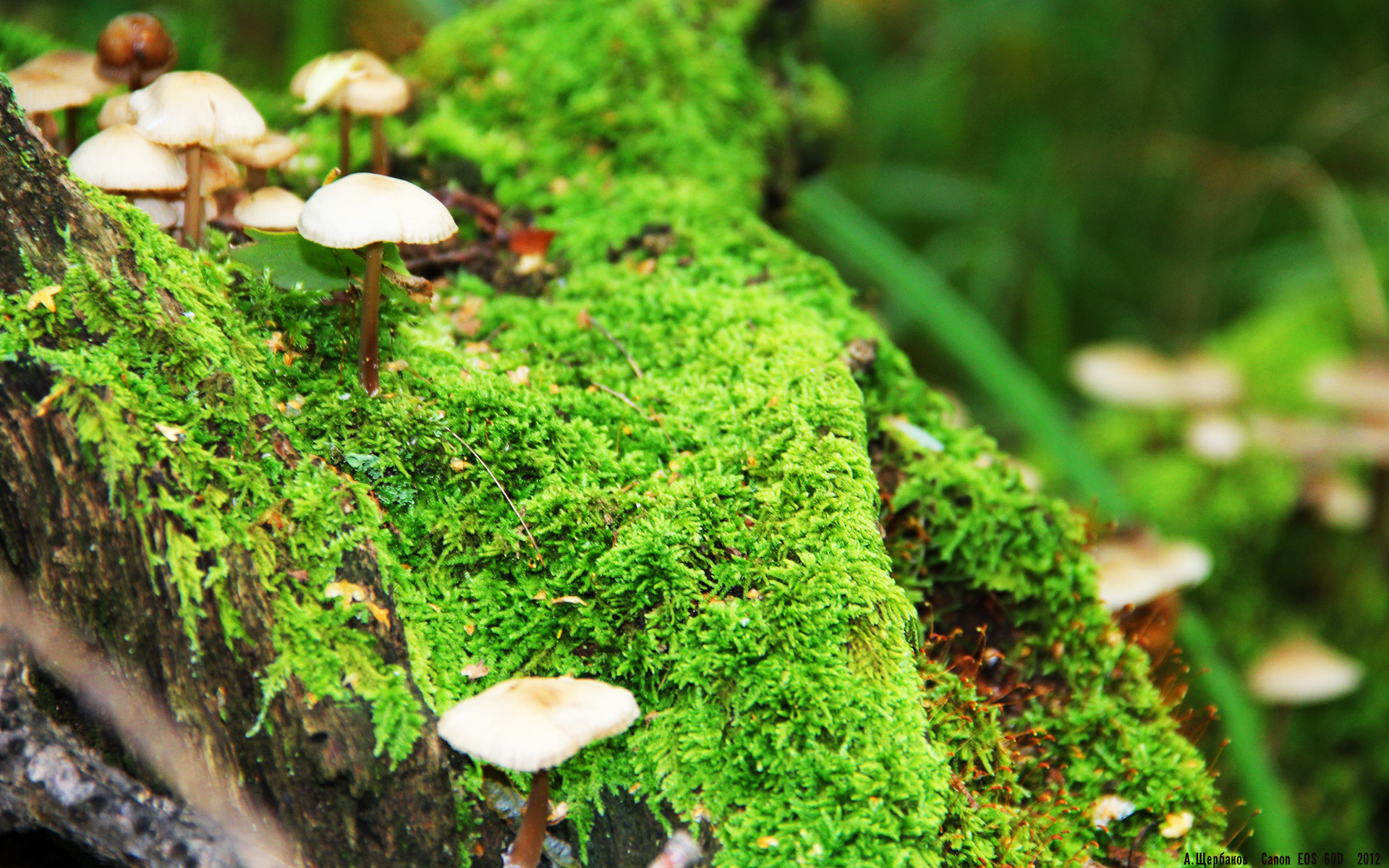 开运体育电脑版-中乙联赛设立裁判互评机制提升执法专业度,中乙裁判一年能有多少收入