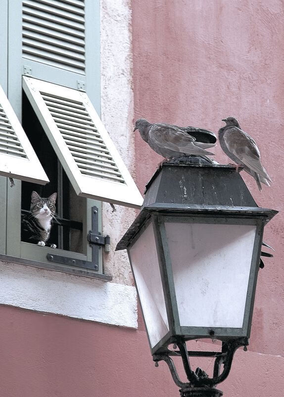 开云体育在线官网-体育品牌发布青少年专属训练装备系列，体育品牌发布青少年专属训练装备系列作品