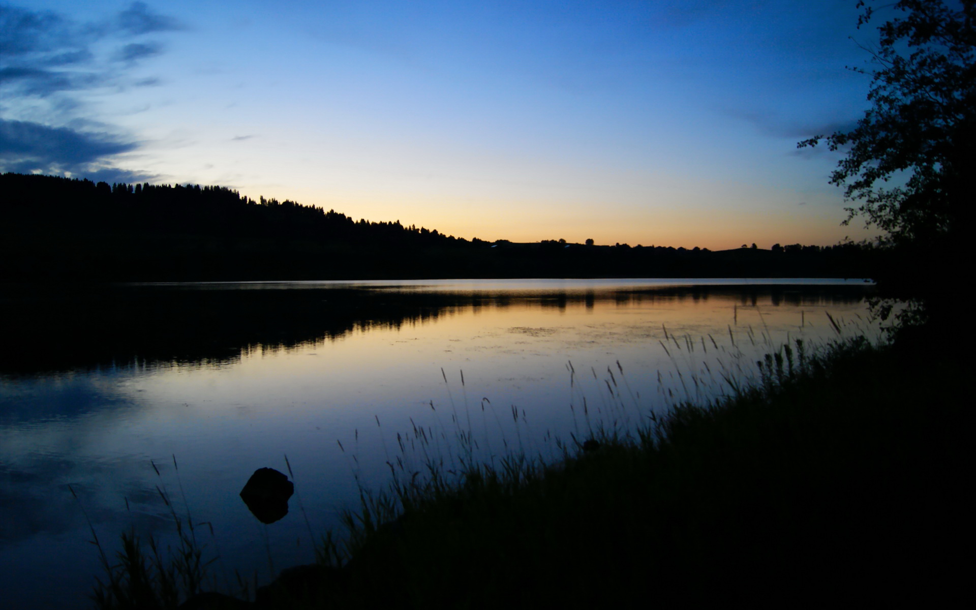 开云体育登录入口-德甲球队的数字化粉丝服务，德甲球迷文化