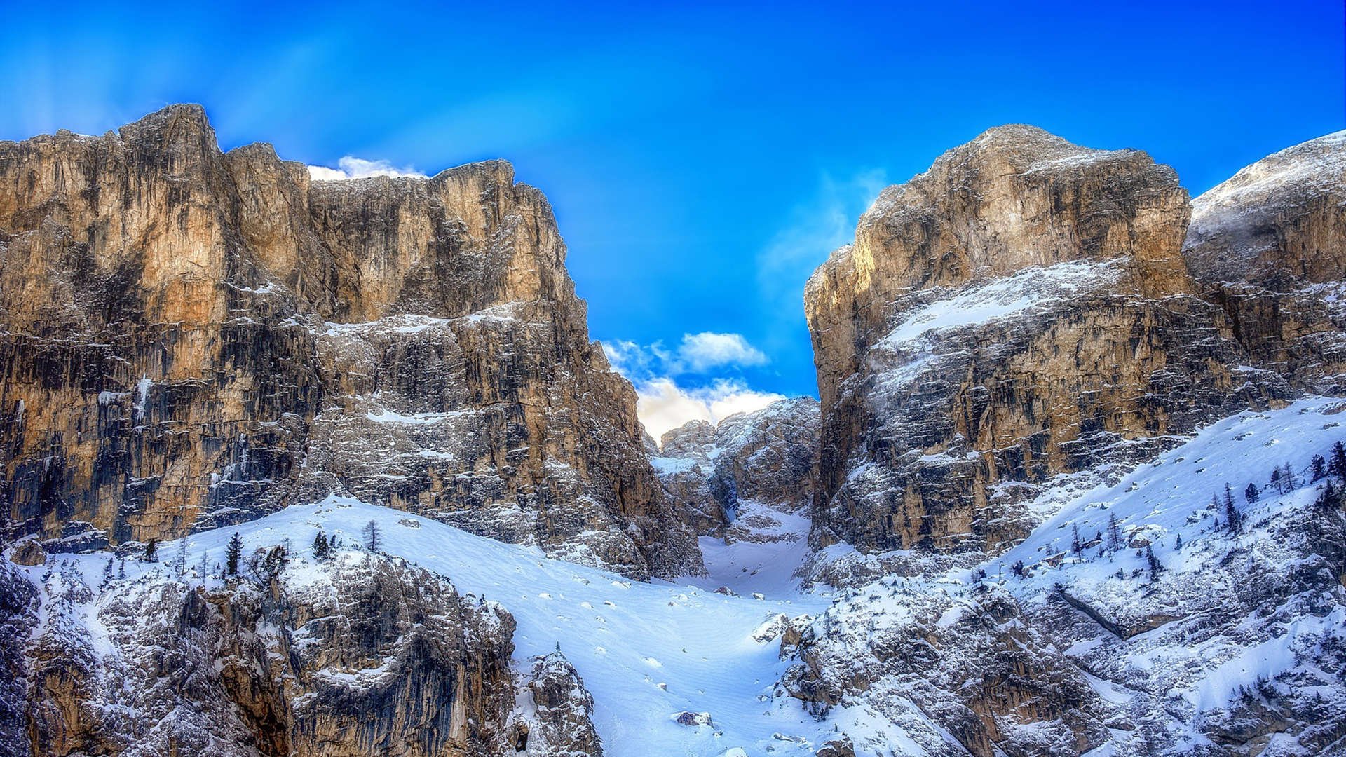 开云ky官网-球迷协会成立十周年，举办丰富庆祝活动，球迷协会名字